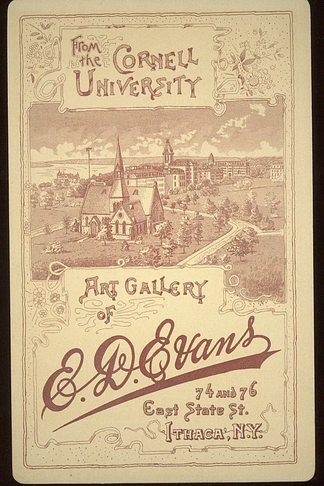 NY, Ithaca. FANCY BACK Cabinet Photo by E. D. Evans. 4-1/4" x 6-1/2". Brown Ink